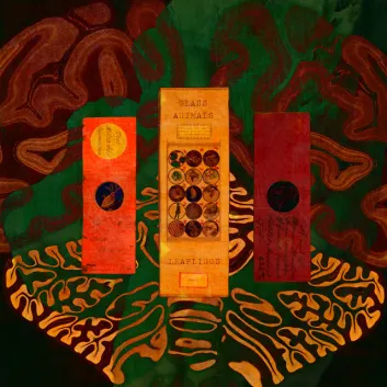 How Much is the Song Dust In Your Pocket by Glass Animals Worth? Royalty & Value Breakdown