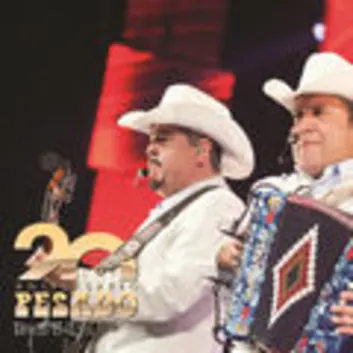 How Much is the Song Ojalá Que Te Mueras - En Vivo by Pesado Worth? Royalty & Value Breakdown