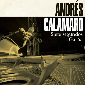 How Much is the Song Garúa - Romaphonic by Andrés Calamaro Worth? Royalty & Value Breakdown