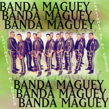 How Much is the Song Puro Michoacano by Banda Maguey Worth? Royalty & Value Breakdown