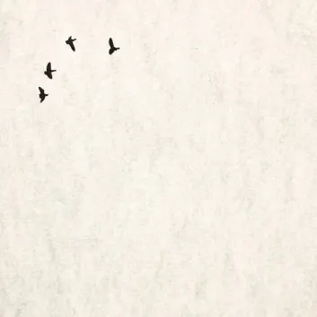 How Much is the Song Surface Waves by Ben Crosland Worth? Royalty & Value Breakdown