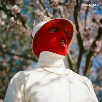 How Much is the Song For James by Pale Jay Worth? Royalty & Value Breakdown