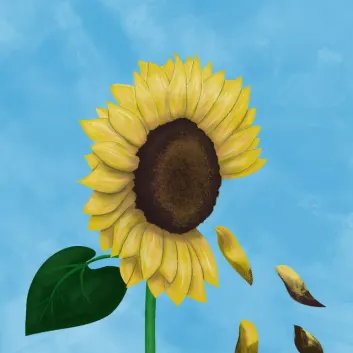 How Much is the Song I Can't Undo by Mackenzy Mackay Worth? Royalty & Value Breakdown