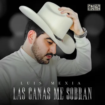 How Much is the Song Al Vino Le Tomo by Luis Mexia Worth? Royalty & Value Breakdown