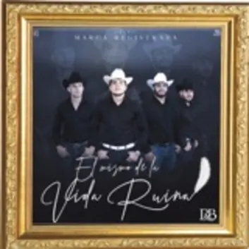 How Much is the Song El Niño De Tijuana by Grupo Marca Registrada Worth? Royalty & Value Breakdown
