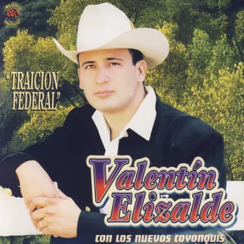 How Much is the Song A Mi Sonora by Valentín Elizalde Worth? Royalty & Value Breakdown