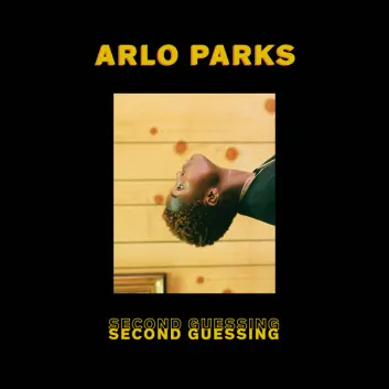 How Much is the Song Second Guessing by Arlo Parks Worth? Royalty & Value Breakdown