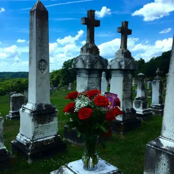 How Much is the Song Red Roses (feat. Landon Cube) by Lil Skies Worth? Royalty & Value Breakdown