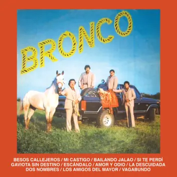 How Much is the Song Gaviota Sin Destino by Bronco Worth? Royalty & Value Breakdown