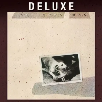 How Much is the Song The Ledge - 2015 Remastered by Fleetwood Mac Worth? Royalty & Value Breakdown