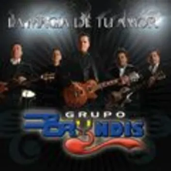 How Much is the Song Pensando En Tu Amor by Grupo Bryndis Worth? Royalty & Value Breakdown