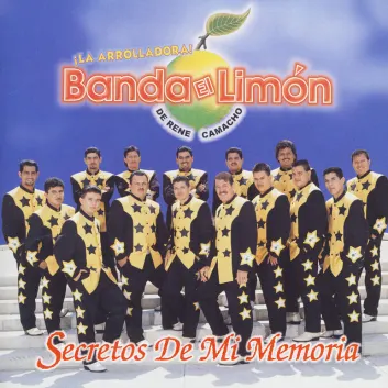How Much is the Song No Te Molestes En Volver by La Arrolladora Banda El Limón De Rene Camacho Worth? Royalty & Value Breakdown