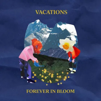 How Much is the Song Wildflower by Vacations Worth? Royalty & Value Breakdown