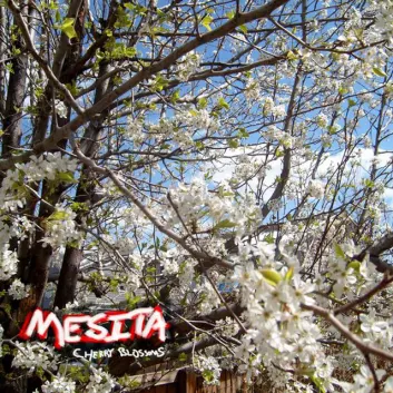How Much is the Song Tent Circles by Mesita Worth? Royalty & Value Breakdown