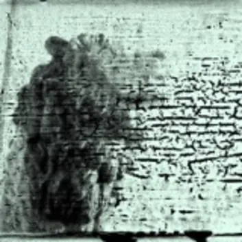 How Much is the Song Drum + Fife by The Smashing Pumpkins Worth? Royalty & Value Breakdown