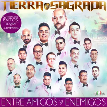 How Much is the Song No Te Quisiste Arriesgar by Banda Tierra Sagrada Worth? Royalty & Value Breakdown