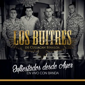 How Much is the Song Se Rifan la Temporada - En Vivo by Los Buitres De Culiacan Sinaloa Worth? Royalty & Value Breakdown
