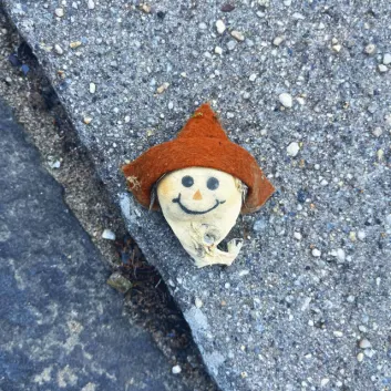 How Much is the Song Dark Day by Wheatus Worth? Royalty & Value Breakdown