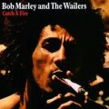How Much is the Song Kinky Reggae - Original Album Version by Bob Marley & The Wailers Worth? Royalty & Value Breakdown