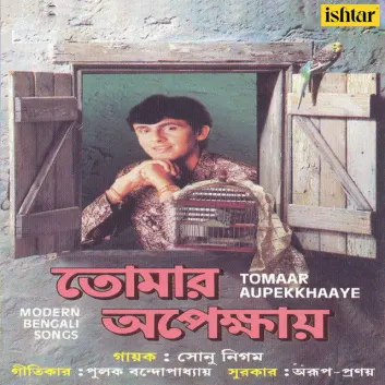 How Much is the Song Sonare Sonare by Sonu Nigam Worth? Royalty & Value Breakdown