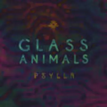 How Much is the Song Psylla by Glass Animals Worth? Royalty & Value Breakdown