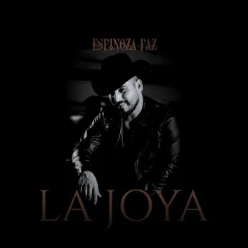 How Much is the Song Juguete Literal by Espinoza Paz Worth? Royalty & Value Breakdown