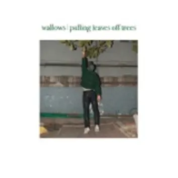 How Much is the Song Pulling Leaves off Trees by Wallows Worth? Royalty & Value Breakdown