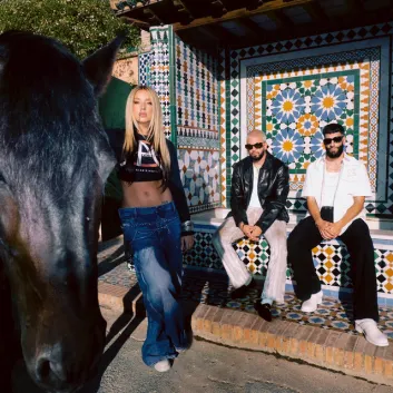 How Much is the Song DE PLASTILINA by Lola Indigo Worth? Royalty & Value Breakdown
