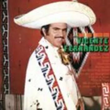 How Much is the Song No Hagas Llorar a Esa Mujer by Vicente Fernández Worth? Royalty & Value Breakdown