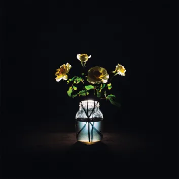 How Much is the Song Red Daisy by Billy Strings Worth? Royalty & Value Breakdown