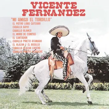How Much is the Song El Moro de Cumpas by Vicente Fernández Worth? Royalty & Value Breakdown
