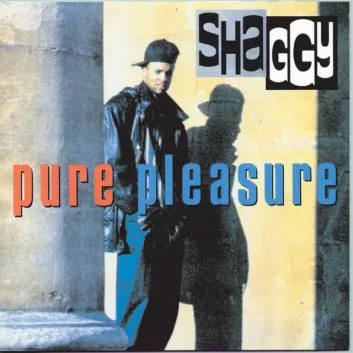 How Much is the Song All Virgins by Shaggy Worth? Royalty & Value Breakdown