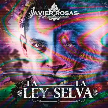 How Much is the Song Lamento by Javier Rosas Y Su Artillería Pesada Worth? Royalty & Value Breakdown