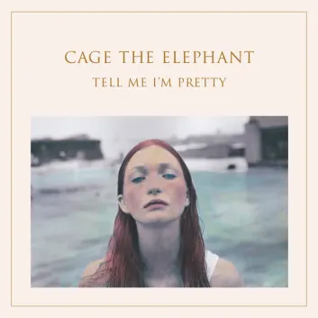 How Much is the Song Cry Baby by Cage The Elephant Worth? Royalty & Value Breakdown