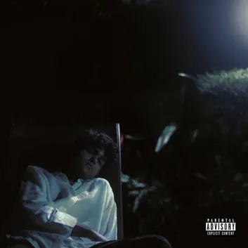 How Much is the Song moonlight by Dhruv Worth? Royalty & Value Breakdown