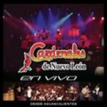 How Much is the Song Amor Chiquito (En Vivo) by Cardenales De Nuevo León Worth? Royalty & Value Breakdown