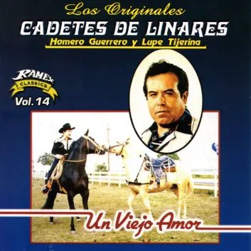 How Much is the Song La Vallenita by Los Cadetes De Linares Worth? Royalty & Value Breakdown