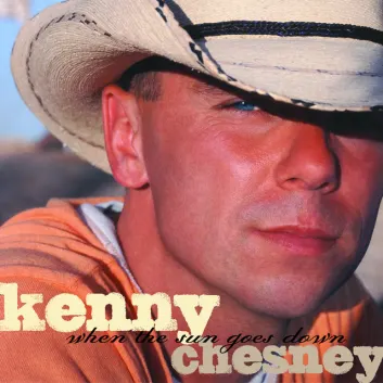 How Much is the Song Being Drunk's a Lot Like Loving You by Kenny Chesney Worth? Royalty & Value Breakdown