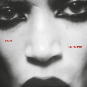 How Much is the Song Strobo by Elodie Worth? Royalty & Value Breakdown