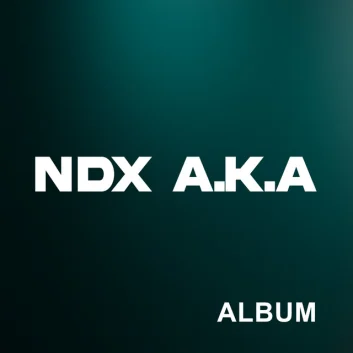How Much is the Song Please Dong Yang by NDX A.K.A. Worth? Royalty & Value Breakdown