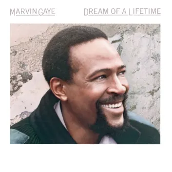 How Much is the Song Life's Opera by Marvin Gaye Worth? Royalty & Value Breakdown