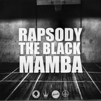 How Much is the Song Shining Moment (Prod. by Eric G.) by Rapsody Worth? Royalty & Value Breakdown