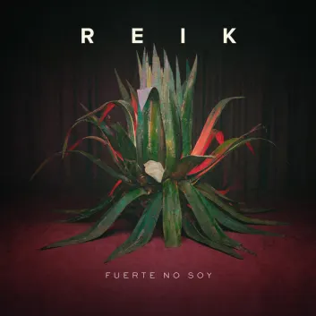 How Much is the Song Fuerte No Soy by Reik Worth? Royalty & Value Breakdown