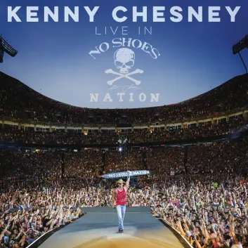 How Much is the Song One Step Up - Live by Kenny Chesney Worth? Royalty & Value Breakdown
