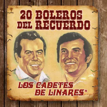 How Much is the Song Mi Corazón Está Llorando by Los Cadetes De Linares Worth? Royalty & Value Breakdown
