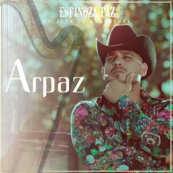 How Much is the Song No Será la Última Vez by Espinoza Paz Worth? Royalty & Value Breakdown