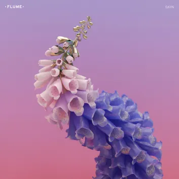 How Much is the Song Pika by Flume Worth? Royalty & Value Breakdown