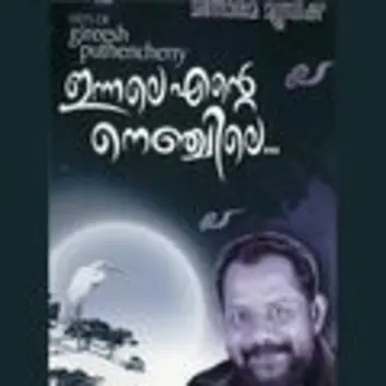 How Much is the Song Kinaavin Kilikale by Karthik Worth? Royalty & Value Breakdown