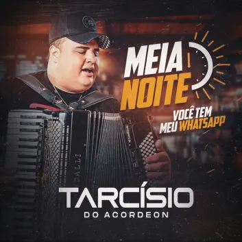 How Much is the Song Meia Noite (Você tem meu Whatsapp) by Tarcísio do Acordeon Worth? Royalty & Value Breakdown