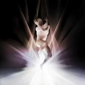 How Much is the Song Minerva by The Smashing Pumpkins Worth? Royalty & Value Breakdown